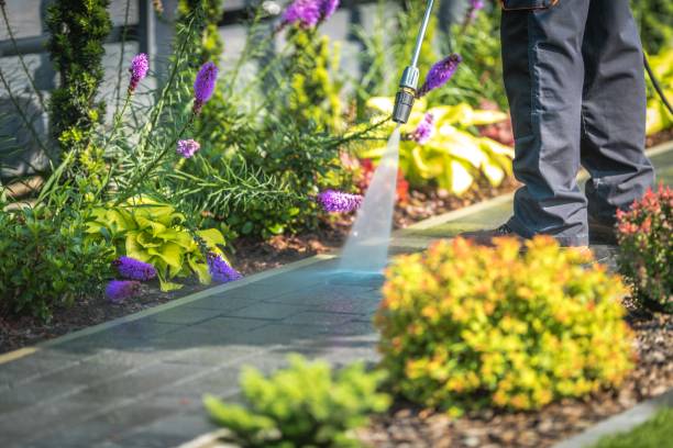 Best Fence Cleaning  in South Point, OH