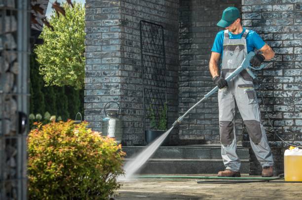 Best Roof Washing  in South Point, OH